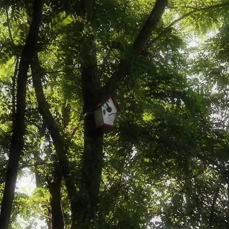 Nyaraló Carobni Breg Galambóc