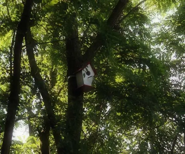 Tatil Evi Carobni Breg Golubac